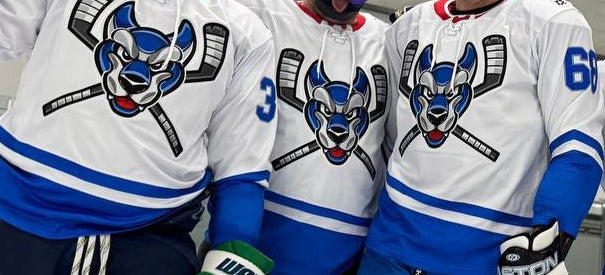 Ice Dogs Team Jersey, Light