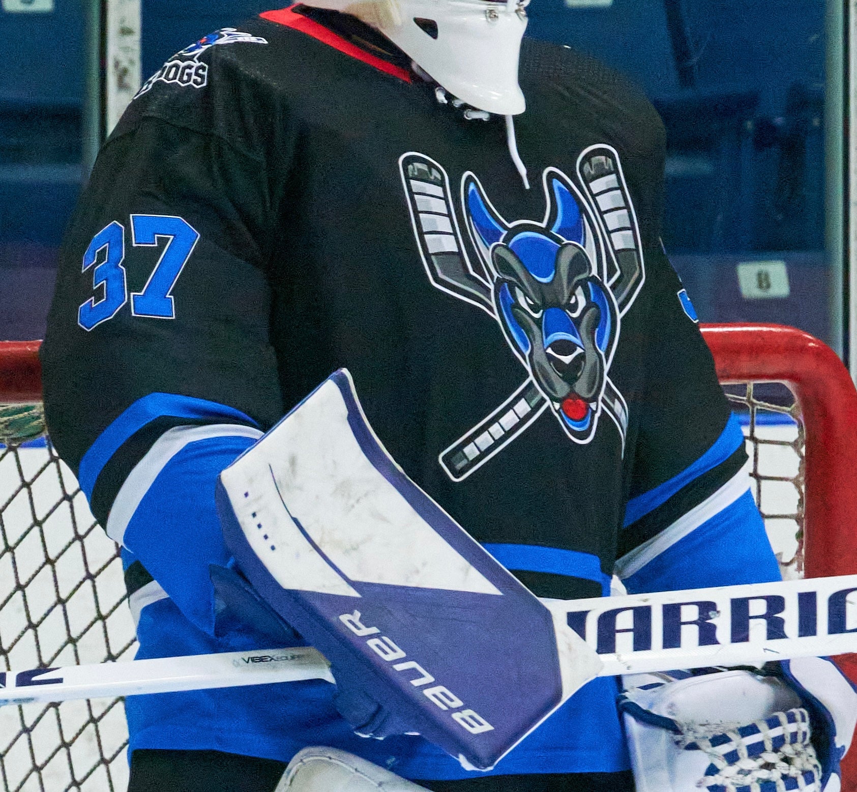 Ice Dogs Team Jersey, Dark