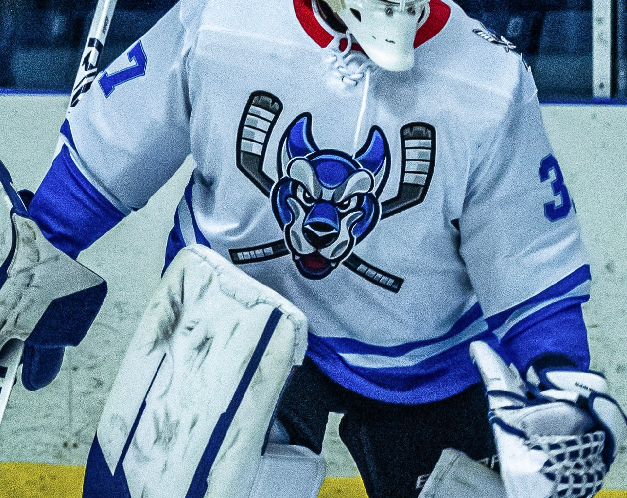Ice Dogs Team Jersey, Light